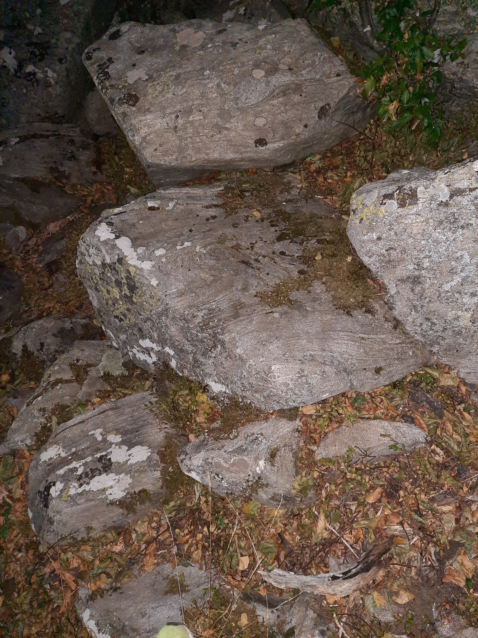 20220813213258 20220813 213258